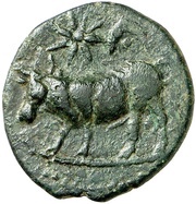 Semis obverse image