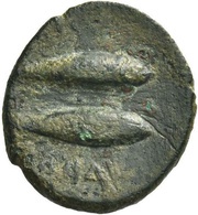 Æ17 reverse image