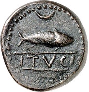 1⁄2 Æ Unit obverse image
