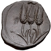 ½ Æ Shekel reverse image