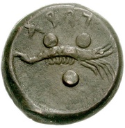 Tetras reverse image