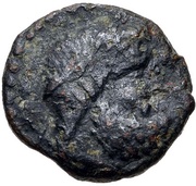 Tetras obverse image
