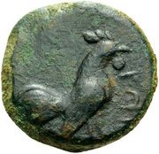 Tetras obverse image