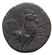 Tetras obverse image