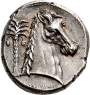 Tetradrachm Uncertain Punic mint; Lilybaion or Entella, Carthaginian Empire, 320 BC - 300 BC reverse image