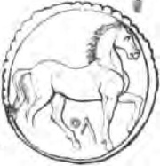 Dishekel, Carthaginian Empire, 200 BC - 146 BC reverse image