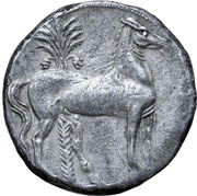 Trishekel, Carthaginian Empire, 264 BC - 241 BC reverse image