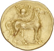 Trihemistater reverse image
