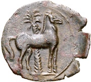 Æ28 reverse image