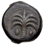 Æ18 Carthage obverse image
