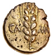 Stater "Trinovantian V" - Cunobeline obverse image