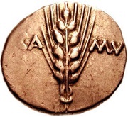 Stater "Trinovantian X" - Cunobeline obverse image