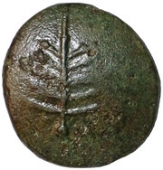 Base Core Stater "Dobunnic G" - Catti obverse image