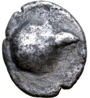 Obol Augentyp-Stamm Type obverse image