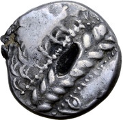 Tetradrachm Coppo Type obverse image