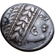 Tetradrachm Copo Type obverse image