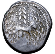 Tetradrachm Svicca Type obverse image