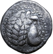 Tetradrachm Beardless Type obverse image