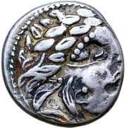 Tetradrachm Leierblume Type obverse image