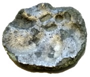 Quinar Büschelquinar type obverse image