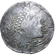 Tetradrachm Ringelkopfreiter mit Mundrosette Type obverse image