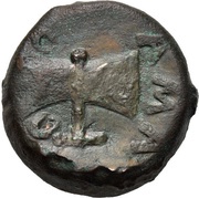 Æ - Amatokos Type II reverse image