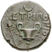 Æ - Cetriporis, Central and Eastern Europe (ancient), 356 BC - 351 BC reverse image