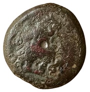 Æ15 - Ptolemy III Euergetes Berytus obverse image