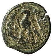 Chalkon - Ptolemy VI Philometor Cyprus, Egypt (ancient), 181 BC - 145 BC reverse image