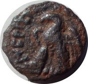 Chalkon - Ptolemy VIII Euergetes II Physcon reverse image
