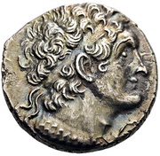 Tetradrachm - Ptolemy VI Philometor Alexandria obverse image