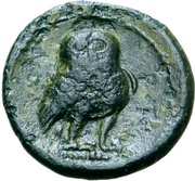 5 Units Head of Turms; without legend reverse image
