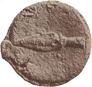 1 As Boar, Etruria, 280 BC - 260 BC reverse image