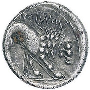Drachm, Gaul, 250 BC - 200 BC reverse image