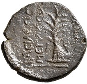 Dichalkon - Tigranes I tree, Greater Armenia, 123 BC - 96 BC reverse image