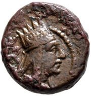 Dichalkon - Tigranes II Herakles obverse image