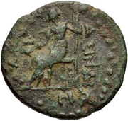 Tetrachalkon Asine reverse image