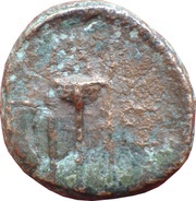 Chalkon reverse image