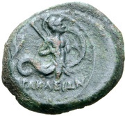 Æ17 reverse image