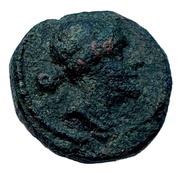 Semiuncia obverse image