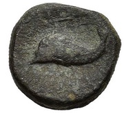 Æ19 reverse image