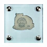 1000 Francs CFA The Jaguar - Irregular obverse image