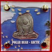 1000 Francs CFA The Polar Bear - Irregular, Burkina Faso, 2016 reverse image