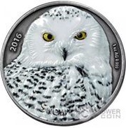 1000 Francs CFA The snowy Owl, Burkina Faso, 2016 reverse image