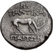 Drachm - Mithridates VI Panticapaeum, Greece (ancient), 90 BC - 79 BC reverse image