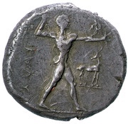 Stater obverse image
