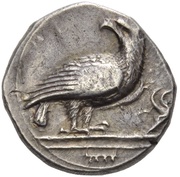 Stater obverse image