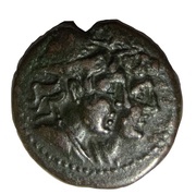 Tetras obverse image