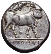 Stater, Greece (ancient), 320 BC - 300 BC reverse image