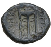 Æ13 reverse image